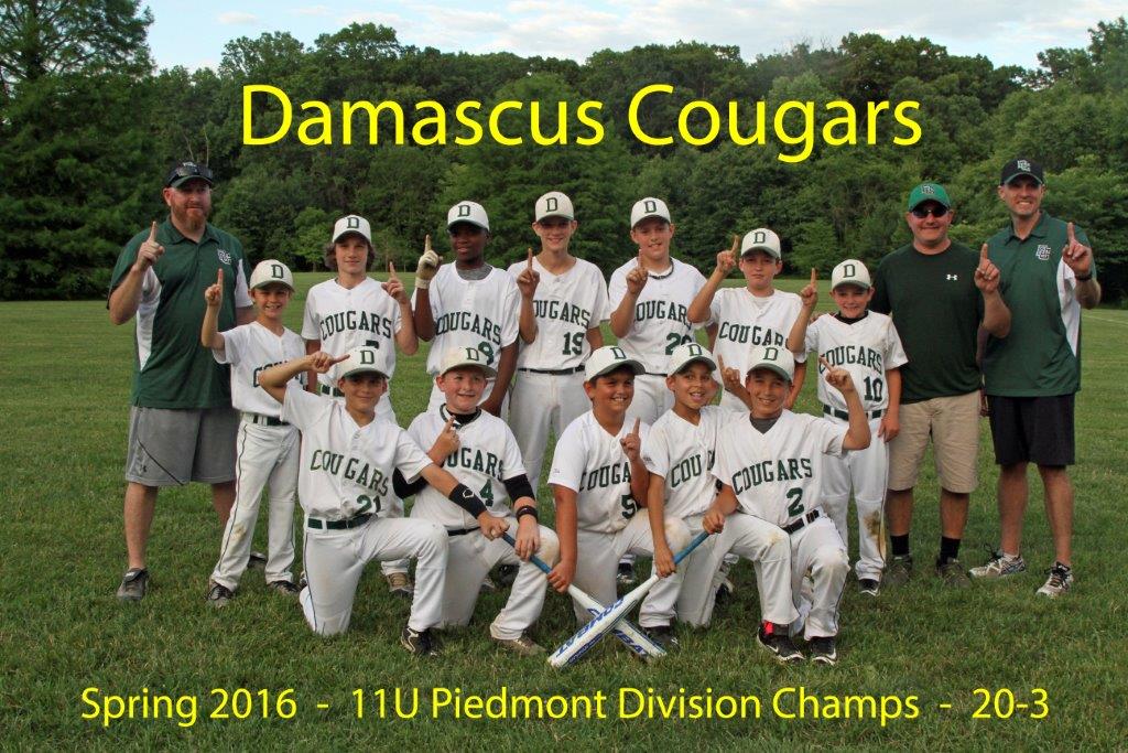cougars cougars